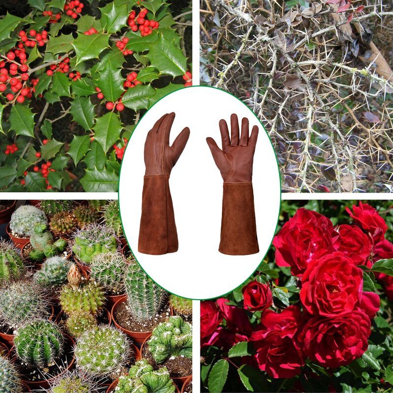 Long Thorn-Resistant Gardening Gloves for Women, Rose Pruning and Cactus Handling Protective Arm Covers, Thick Cowhide Leather with Cotton Lining Kemu |Fashion Home Kitchen Beauty