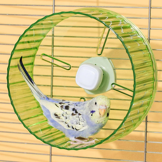 17cm Parrot Silent Running Wheel, Parrot Exercise Wheel, Birds, Parrots, Turtles, Hamsters, Small Animal Quiet Running Wheel (Green) Kemu |Fashion Home Kitchen Beauty