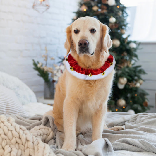 Dog Outfit, Christmas Dog Collar with Bells Ornaments Holiday Neckwear Costume Clothes for Small Medium Large Dogs Pets (Red, L) Kemu |Fashion Home Kitchen Beauty