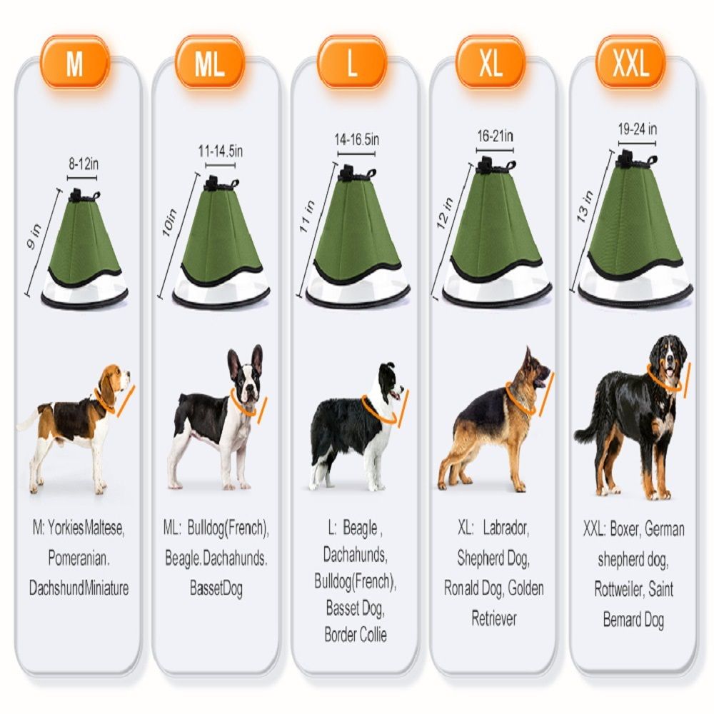 Soft Dog Cone Collar for Large Medium Dogs After Surgery, Adjustable Recovery Lightweight Collar for Dogs to Stop Licking (L) Kemu |Fashion Home Kitchen Beauty