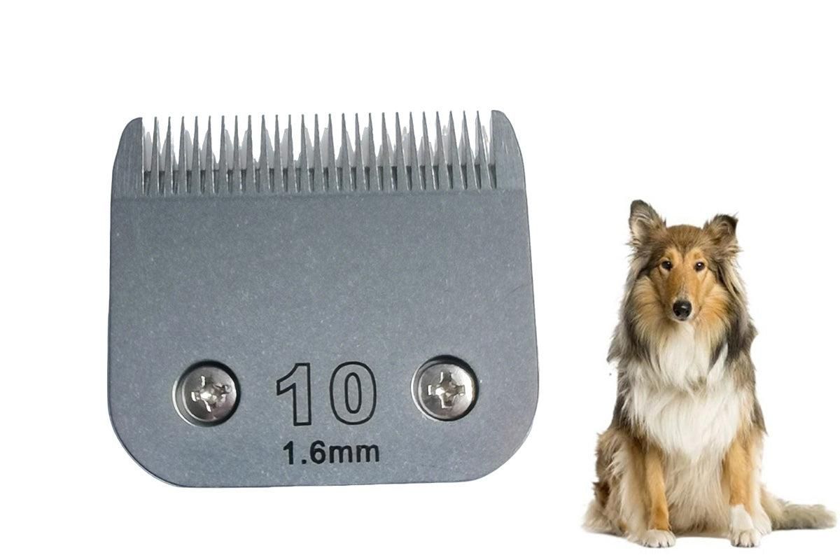 1.6 mm Stainless Steel Replacement Compatible for Universal A-Type Kemu |Fashion Home Kitchen Beauty