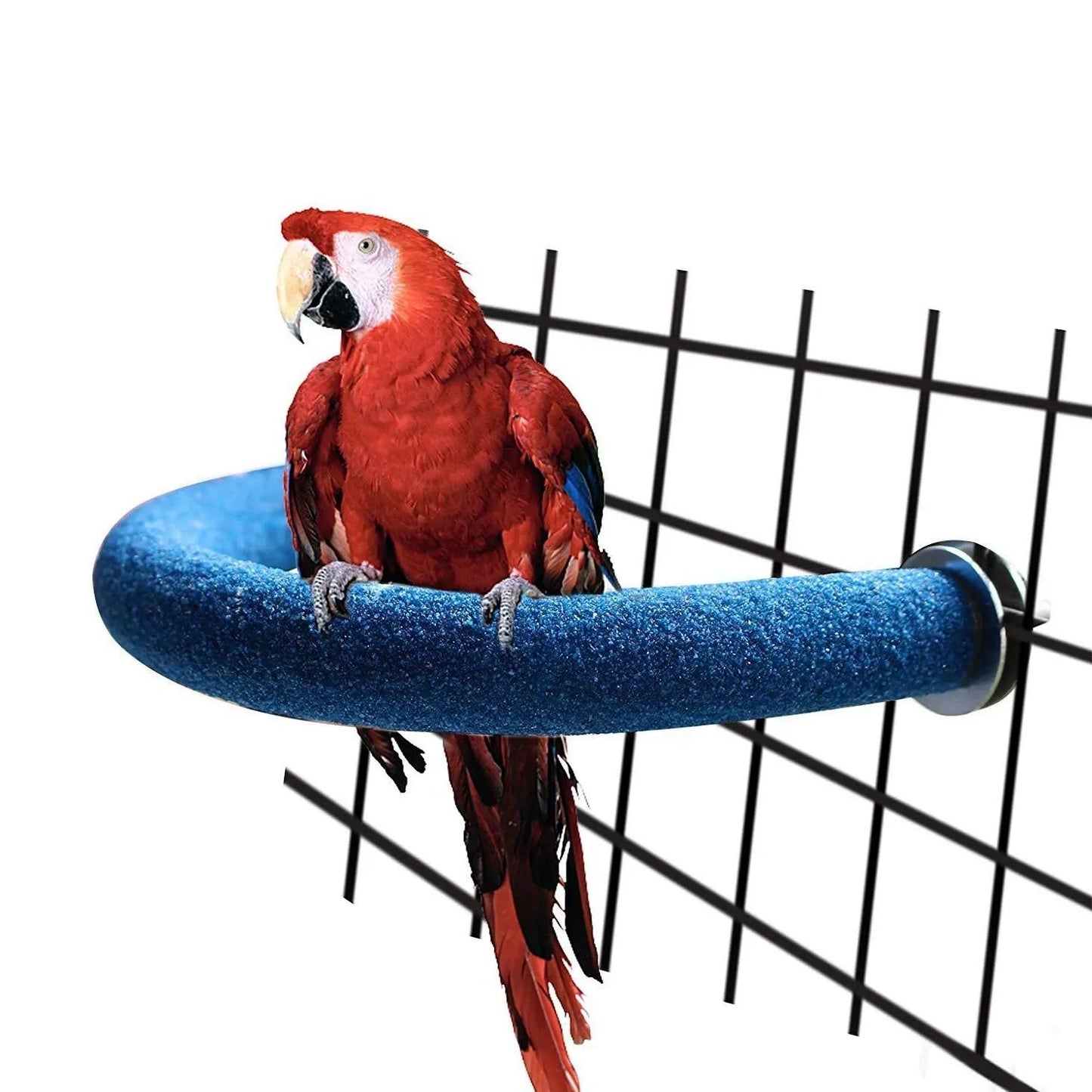 U Shape Parrot Perch Stand Toy Bird Platform Sand Paw Grinding Clean Stick Exercise Conure Budgie Cockatiel Cage Accessories (Blue) small Kemu |Fashion Home Kitchen Beauty