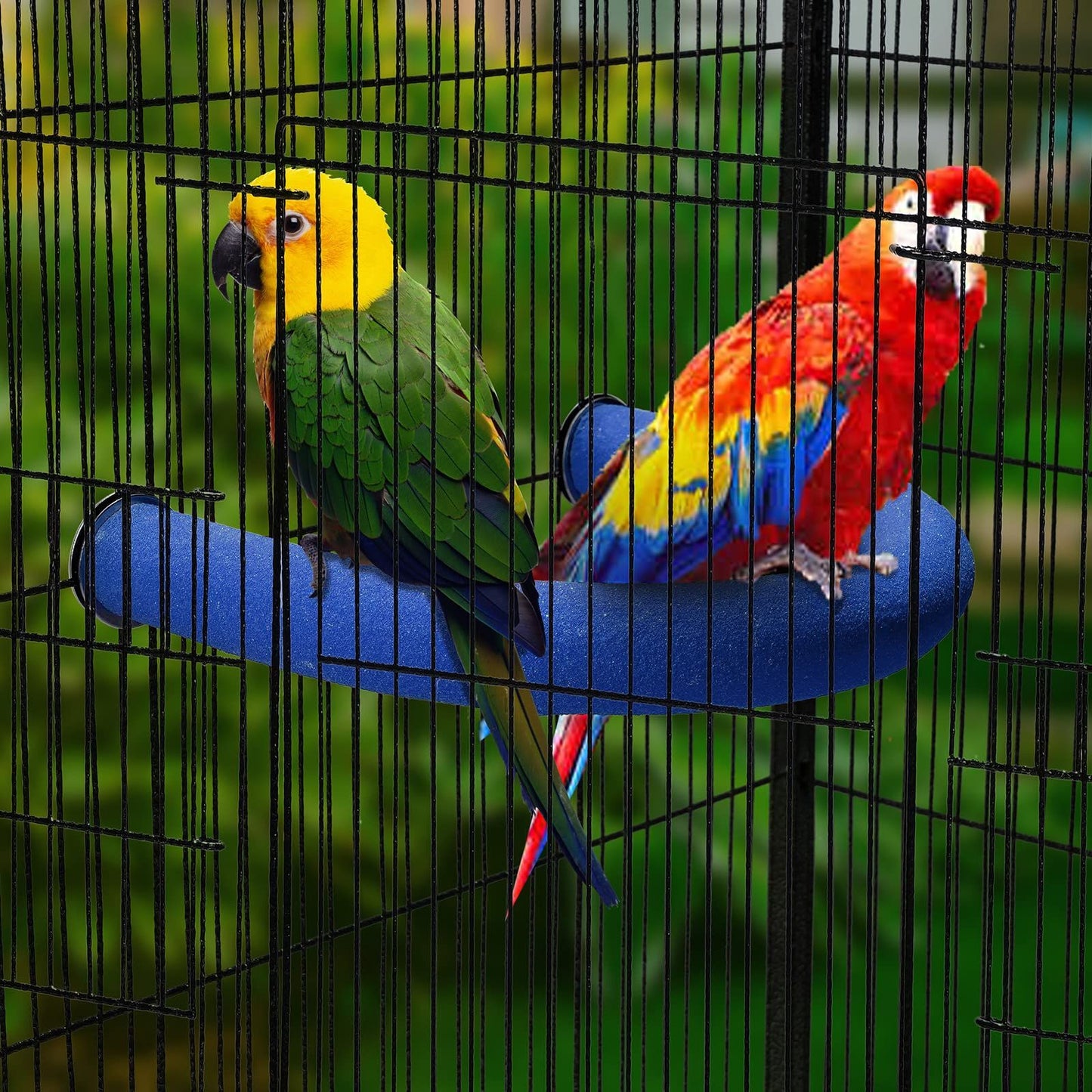 U Shape Parrot Perch Stand Toy Bird Platform Sand Paw Grinding Clean Stick Exercise Conure Budgie Cockatiel Cage Accessories (Blue) small Kemu |Fashion Home Kitchen Beauty
