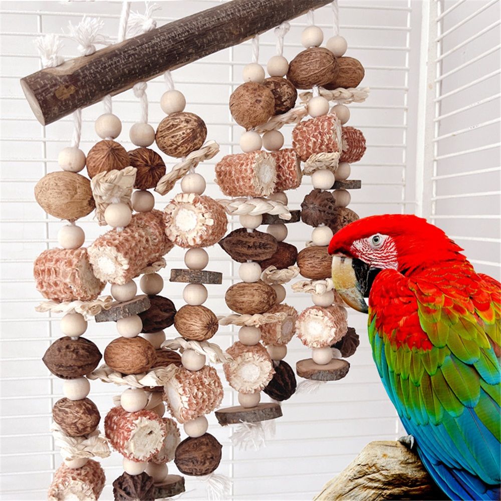 Large parrot toys, natural nuts, corn cobs, wooden African grey macaw, chew and tear toys, cockatoos, cockatoos, and large and medium-sized birds Kemu |Fashion Home Kitchen Beauty