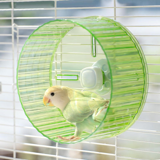 17cm  Parrot Silent Running Wheel, Parrot Exercise Wheel, Birds, Parrots, Turtles, Hamsters, Small Animal Quiet Running Wheel (Green) Kemu |Fashion Home Kitchen Beauty
