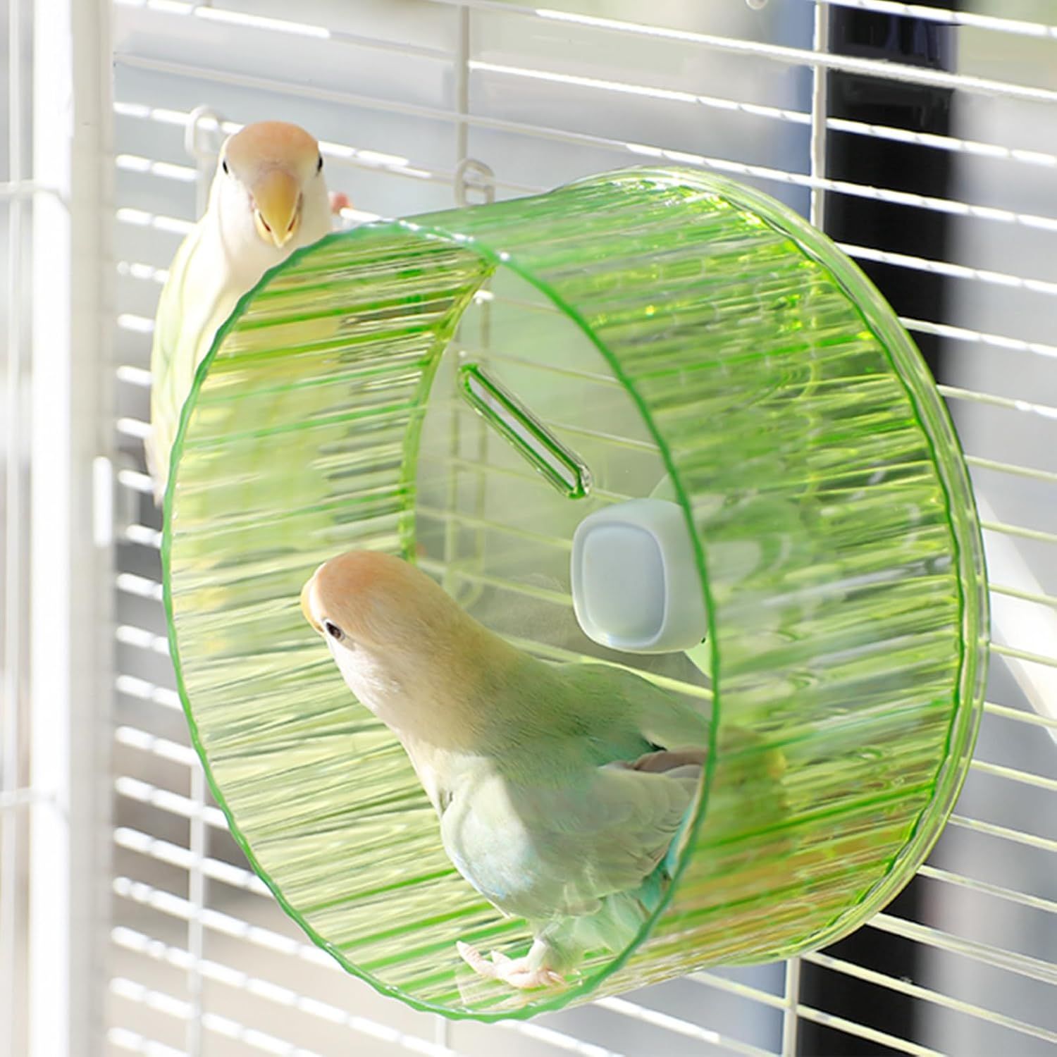 17cm  Parrot Silent Running Wheel, Parrot Exercise Wheel, Birds, Parrots, Turtles, Hamsters, Small Animal Quiet Running Wheel (Green) Kemu |Fashion Home Kitchen Beauty