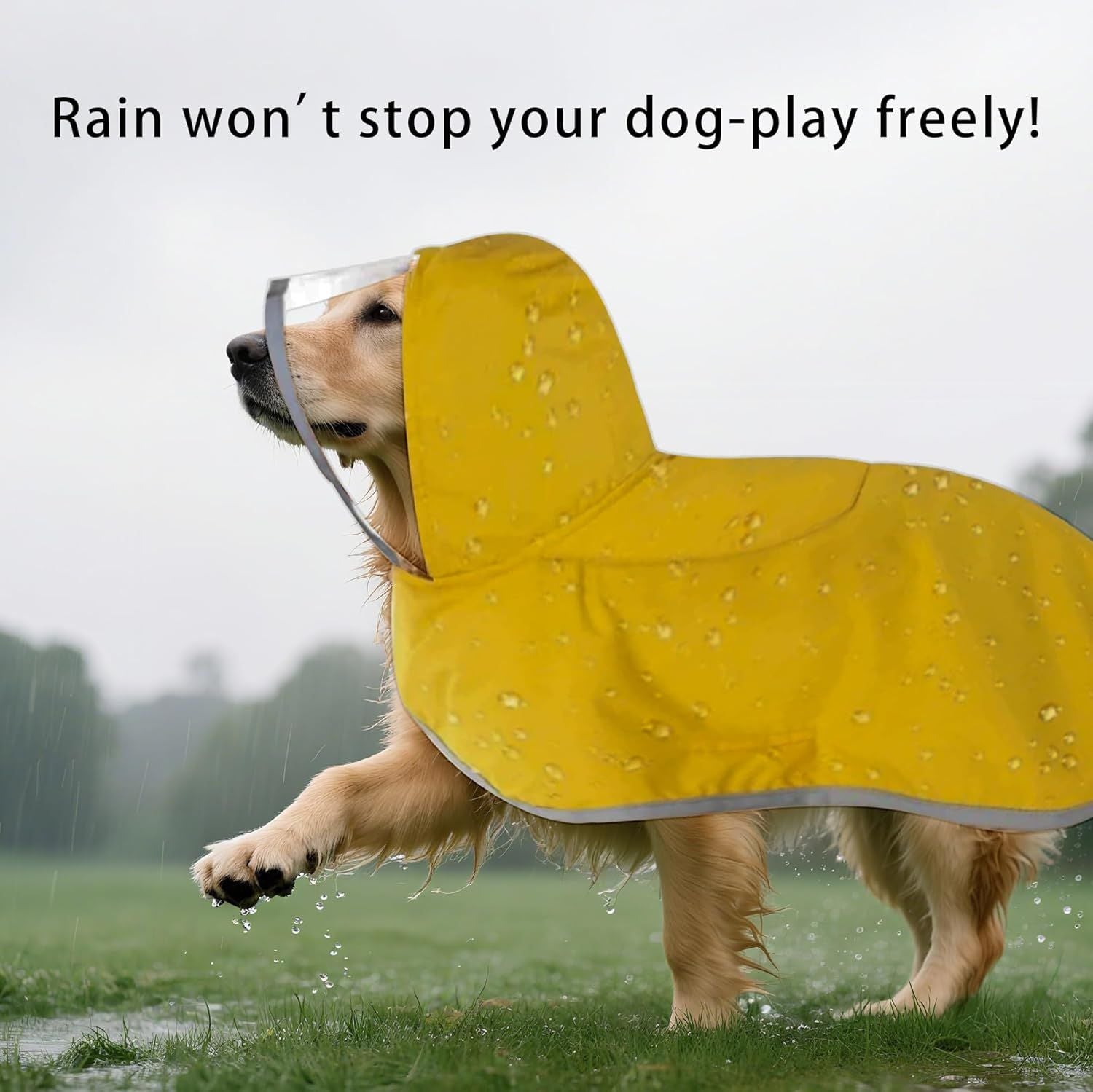 Dog Raincoat, Adjustable Dog Rain Jacket Clear Hooded Double Layer, Waterproof Poncho with Reflective Strip Straps and Storage Pocket for Small Medium Large Puppies(M) Kemu |Fashion Home Kitchen Beauty