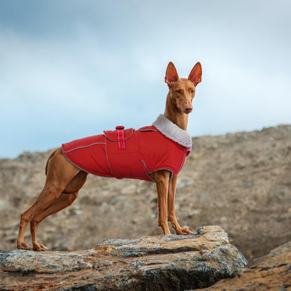 Warm Dog Coat Waterproof Dog Jacket Reflective Vest with Adjustable Buckle Hook & Loop, Windproof Winter Jacket Dogs Coats for Small Medium Large Dogs, Red,L Kemu |Fashion Home Kitchen Beauty