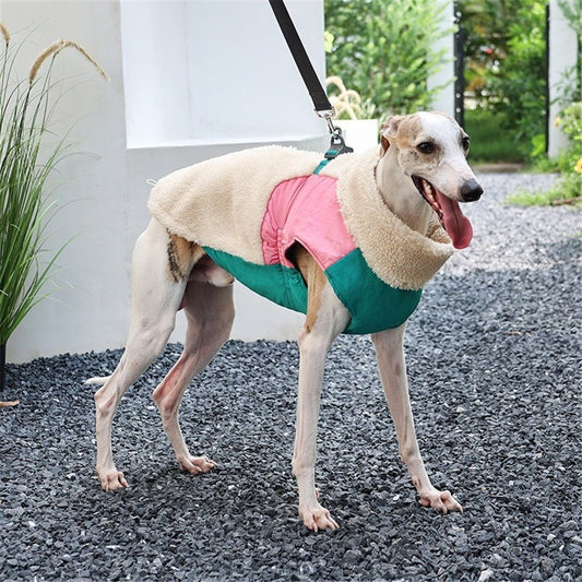 Dog Cold Weather Coats for Small Medium Large Gogs Outdoor Indoor Activities-Warm Pet Winter Clothes Jackets - Windproof Warm Colors Style Dog Vest (Beige, S) Kemu |Fashion Home Kitchen Beauty