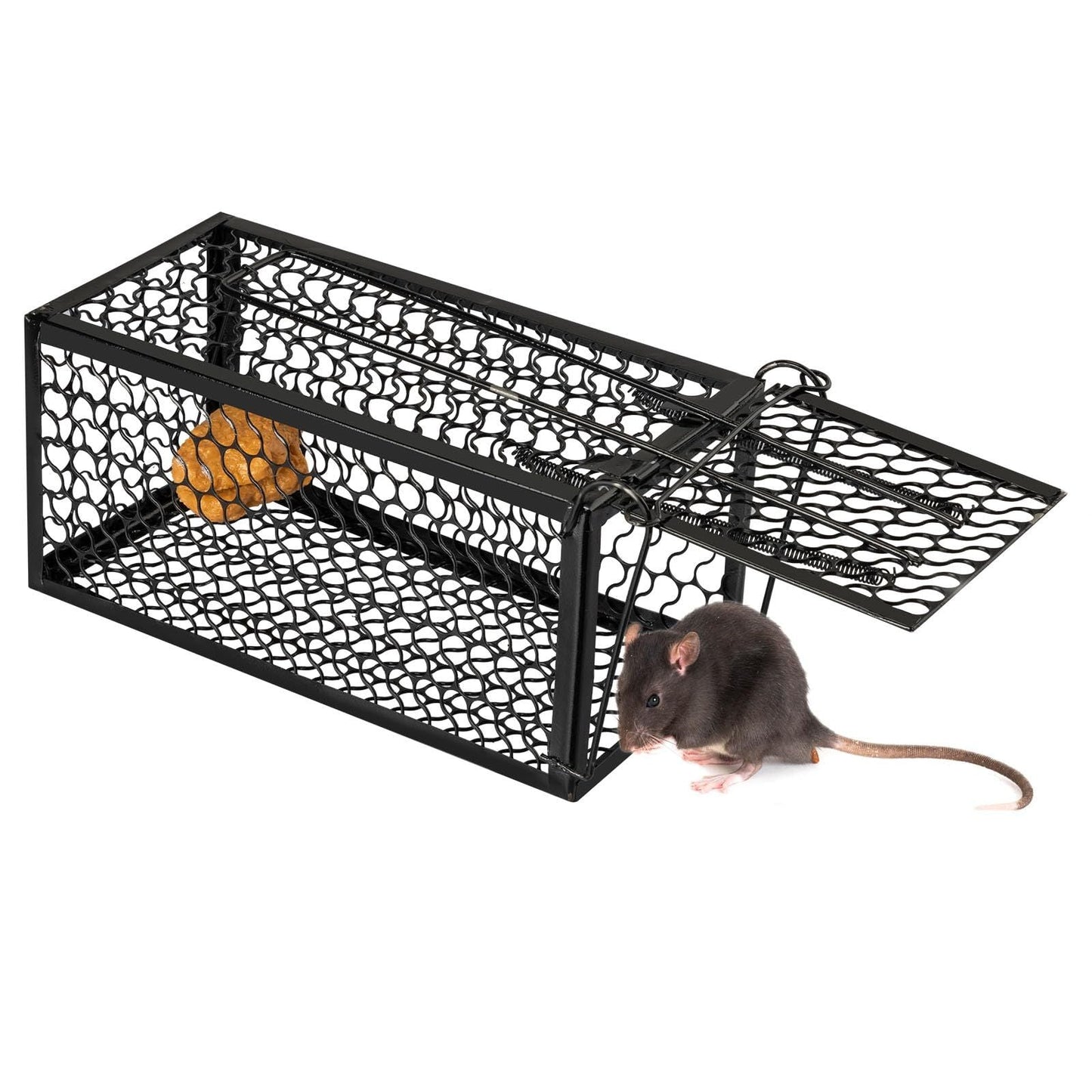 Mouse Trap Catch and Release Humane Animal Rodent Cage, Trap Mice, Rats, Chipmunks, Squirrel, Indoor and Outdoor, Easy to Use Kemu |Fashion Home Kitchen Beauty