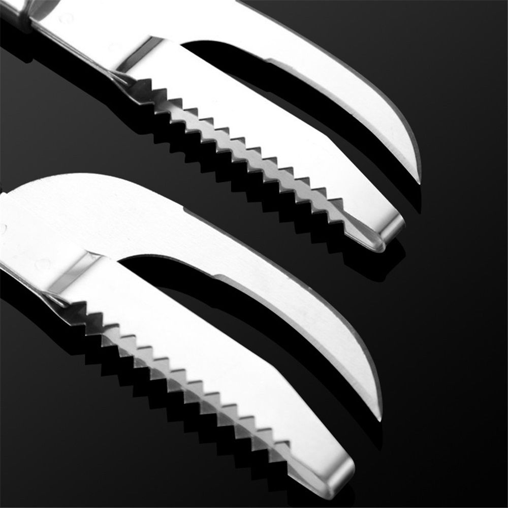2 pack Stainless Steel Fish Maw Knife,3 In 1 Fish Maw Knife, Multifunction Fish Scale Knife fish scale remover Household Kitchen Fish Scale Tool Kemu |Fashion Home Kitchen Beauty