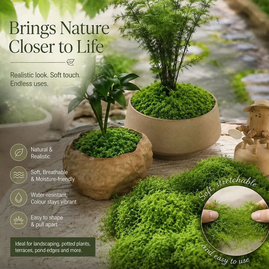 Dark Green Preserved String Moss Indoor Plant Decor Set of 5 Bags 100g Kemu |Fashion Home Kitchen Beauty