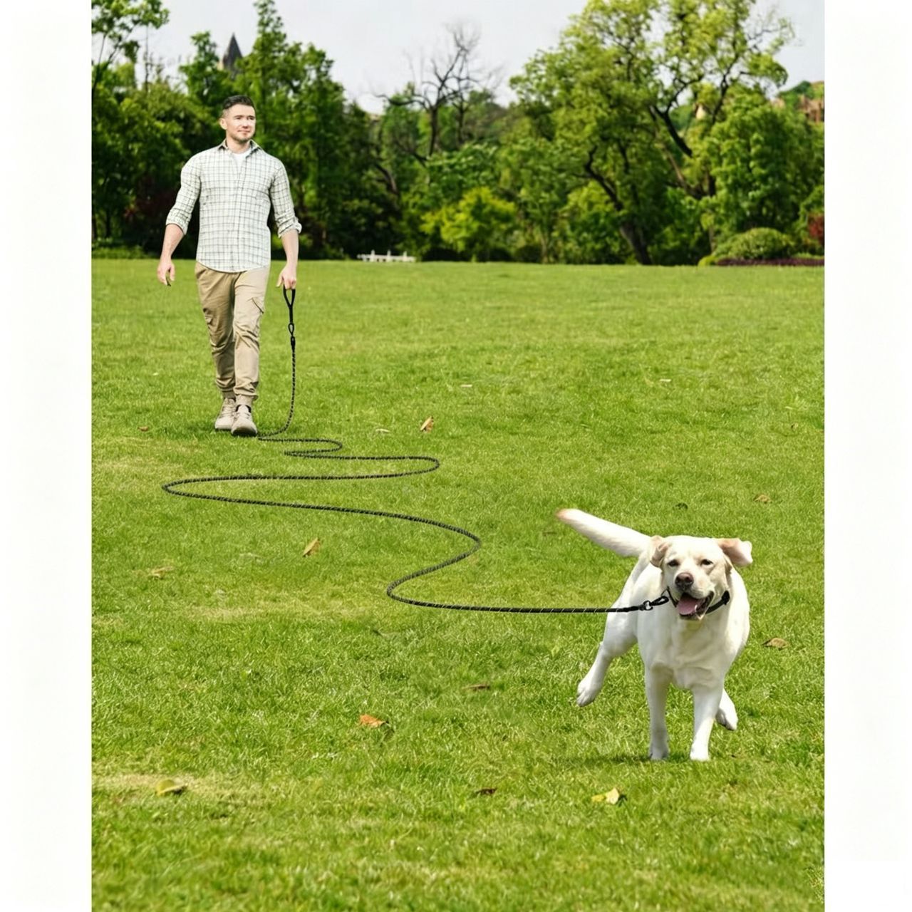 Large Dog Leash Black 03