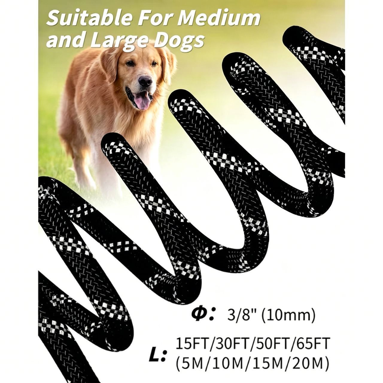 Large Dog Leash Orange 03