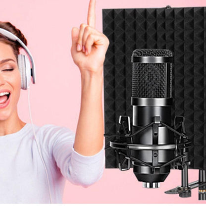 5-Panel Microphone Isolation Shield Studio Mic Sound Absorbing Foam Kemu |Fashion Home Kitchen Beauty