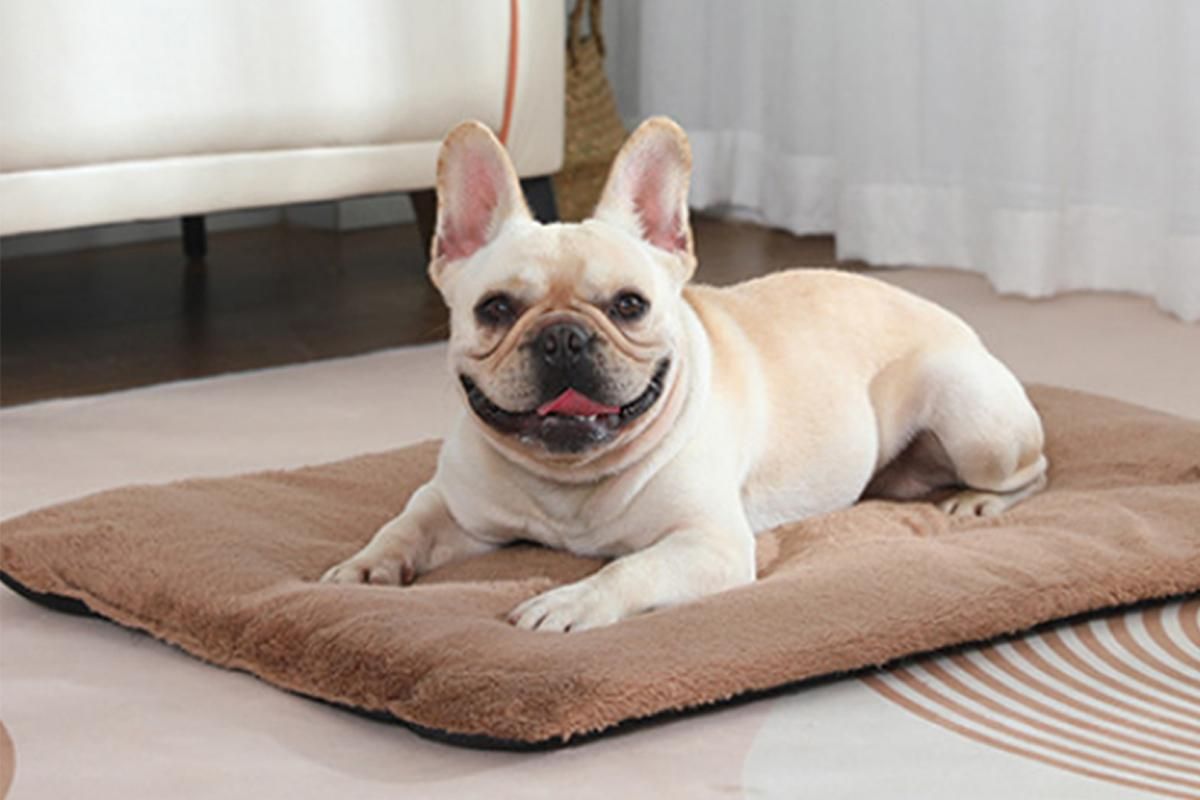 2Pcs Pet Blanket Self-Heating Bed Pad Cat Dog Self-Warming Cushion-Khaki XL
