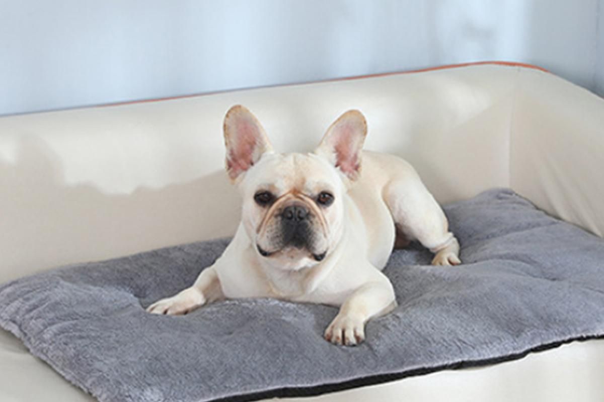 2Pcs Pet Blanket Self-Heating Bed Pad Cat Dog Self-Warming Cushion-Grey XL