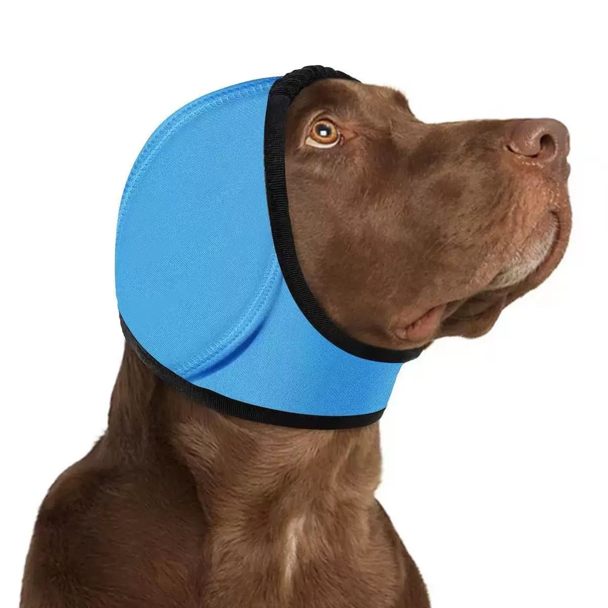 Dog Ear Cover Noise Protection Adjustable Grooming Hood Comfortable Pet Accessory - Sky Blue M Kemu |Fashion Home Kitchen Beauty